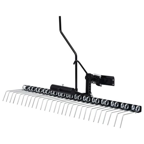 VidaXL 154454 eclaircisseur de gazon Noir