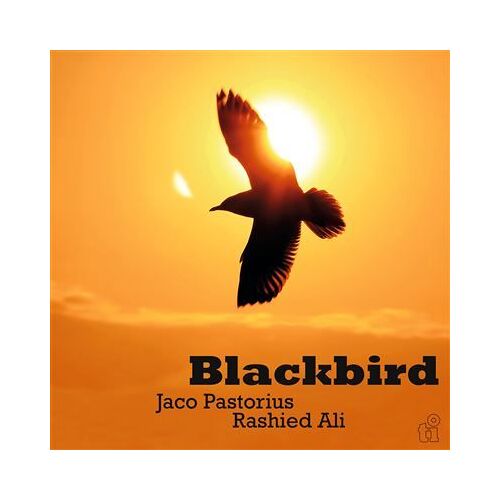 Disque Vinyle Lp Édition Limitée Music On Vinyl Blackbird Pastorius Jaco Rashied Ali Vert Translucide