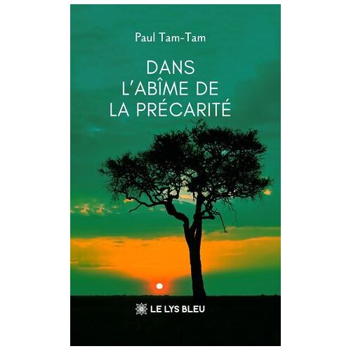 Dans L'abîme De La Précarité