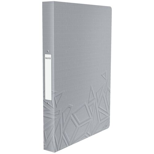 Leitz 42070088 Classeur À Anneaux A4 Gris