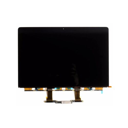 Dalle LCD pour MacBook Pro 16" (A2141, 2019)
