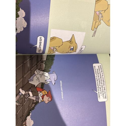 Lot De 3 Magnifique Bd Manga En Deux En Couleur.