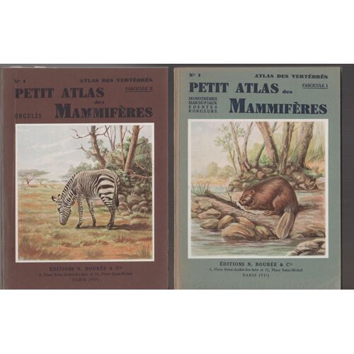Petit Atlas Des Mammifères Fascicule 1 À Iv Boubée