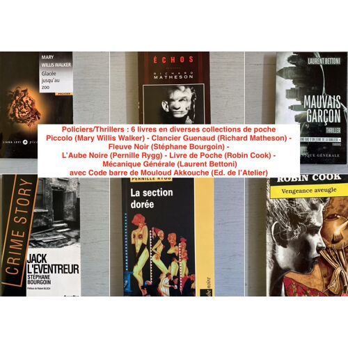 Policiers/Thrillers : 6 Livres En Diverses Collections De Poche = Piccolo (M. W. Walker) - Clancier Guenaud - Fleuve Noir - L’Aube Noire (Pernille Rygg) - Livre De Poche (R.Cook) - Mécanique Générale