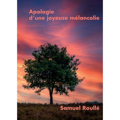 Apologie D'une Joyeuse Mélancolie