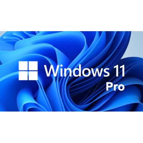 Windows 11 Professional Retail Key