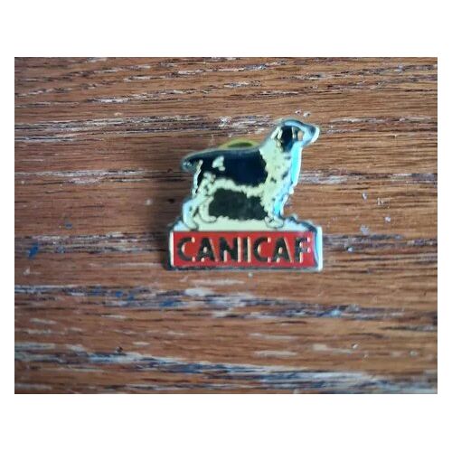 Pin'S Canicaf