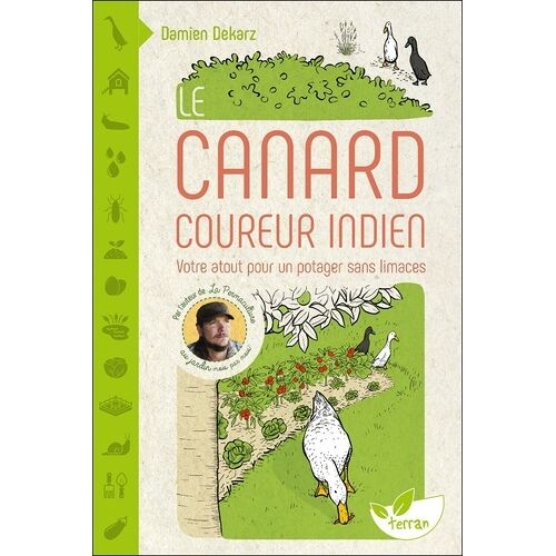 Le Canard Coureur Indien - Votre Atout Pour Un Potager Sans Limaces