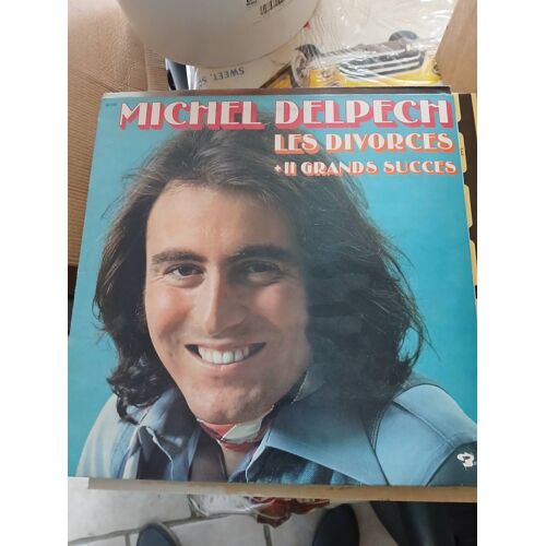 Disque Vinyle 33 Tours Michel Delpech Les Divorcées Grand Succès