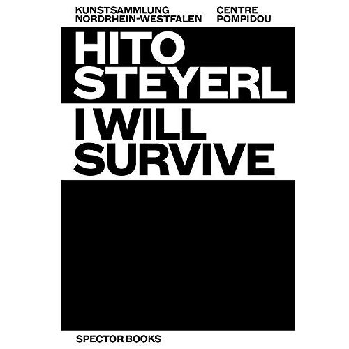 Hito Steyerl