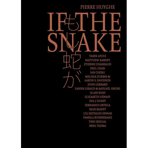 Pierre Huyghe: If The Snake