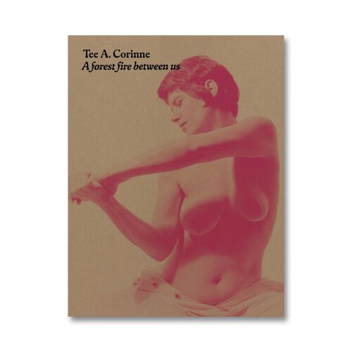 Tee A. Corinne: A Forest Fire Between Us
