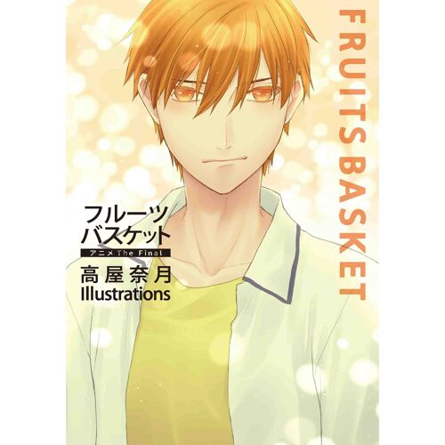 The Final Illustrations (Comics)