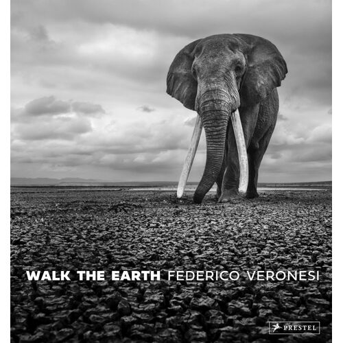 Walk The Earth: Photographs Of Africa's Last Great Elephants