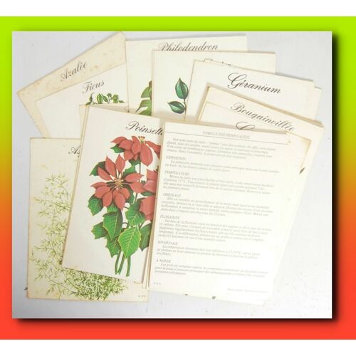 32 Fiches Cartonnées Sur Les Plantes Et Fleurs - Modèle Original 1979