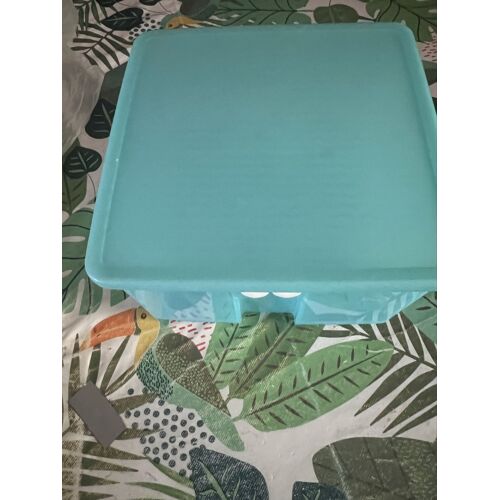 Boîte Tupperware Frigo Ventilée 22 X22 Cms