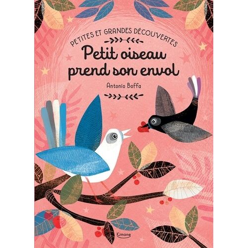 Petit Oiseau Prend Son Envol