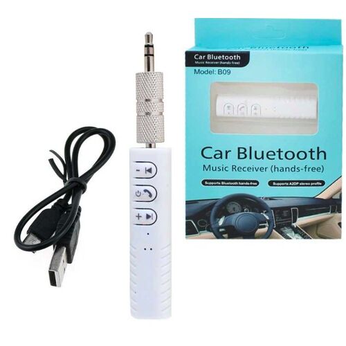 Récepteur Adaptateur sans Fil Bluetooth Blanc BT450-03