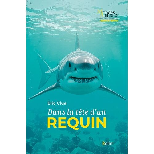 Dans La Tête D'un Requin