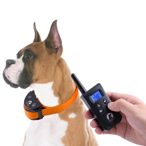 Collier Anti Aboiement Pour Chien Étanche À Vibration Réglable Télécommandé Orange Yonis