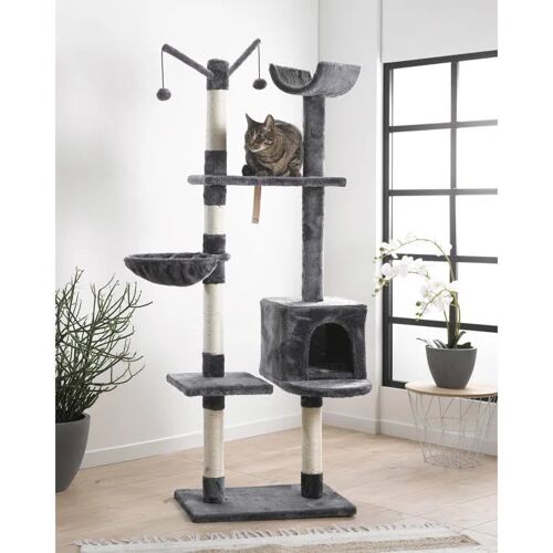 Arbre A Chat 4 Plateformes