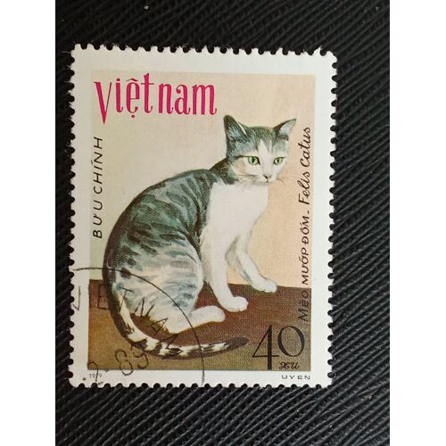 Timbre Vietnam Y T 203 Chat Tacheté - Meo Muop Dom 1979 (060810 )
