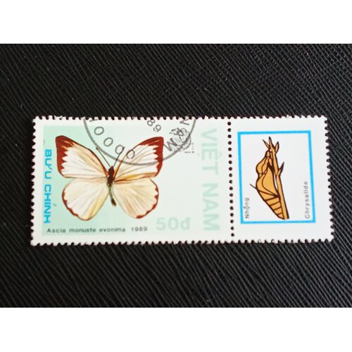 Timbre Vietnam Y T 951 Grand Blanc Du Sud (Ascia Monuste) 1989 (080810 )