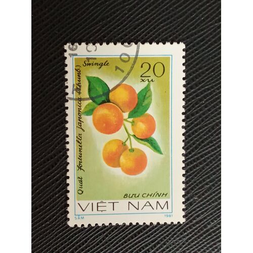 Timbre Vietnam Y T 297 Fruits , Kumquat (Fortunella Japonica) 1981 (080810 )