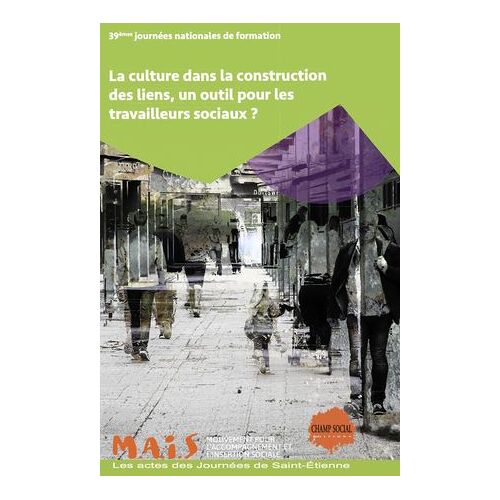 La Culture Dans La Construction Des Liens, Un Outil Pour Les Travailleurs Sociaux ?