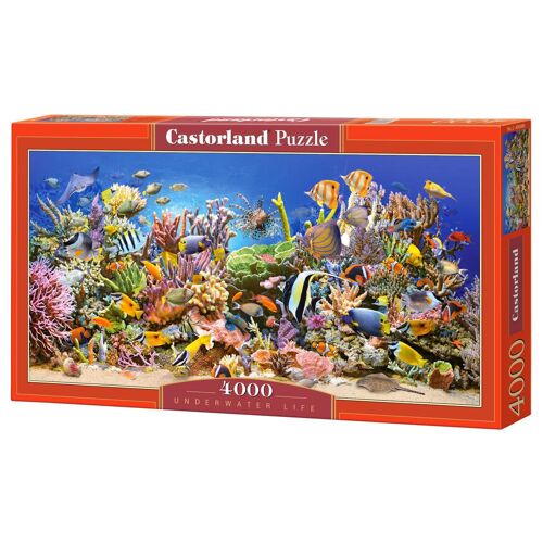 Castorland Underwater life 4000 pcs Jeu de puzzle 4000 pièces Aquatique