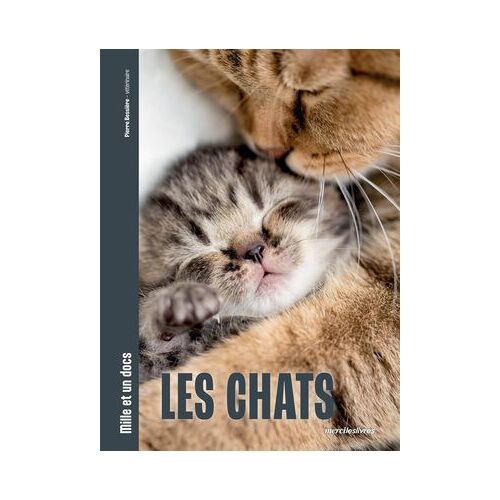 Mille Et Un Docs - Les Chats