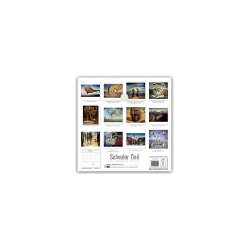 Salvador Dalí Wall Calendar 2027 (Art Calendar)