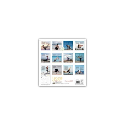 Yoga & Meditation Wall Calendar 2027 (Art Calendar)