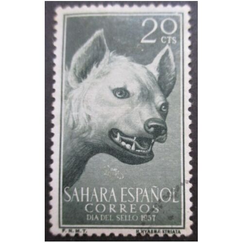 Sahara Espagnol N°131 Oblitéré
