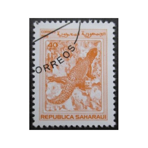 Sahara Espagnol Lézard Oblitéré