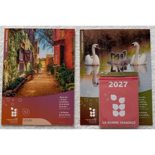 Calendrier Bloc Sur Plaque Ephemeride - N°2 Recto Famille De Sygnes Et Verso Ile De Goree Senegal - La Bonne Semence 2027.