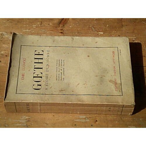 Goethe Histoire D'un Homme