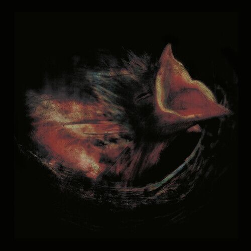 Gurriers - Nobody's Coming To Save You [Compact Discs]